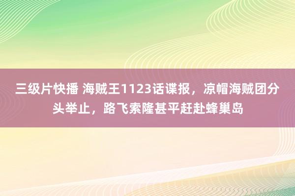 三级片快播 海贼王1123话谍报，凉帽海贼团分头举止，路飞索隆甚平赶赴蜂巢岛