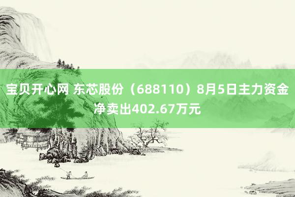 宝贝开心网 东芯股份（688110）8月5日主力资金净卖出402.67万元