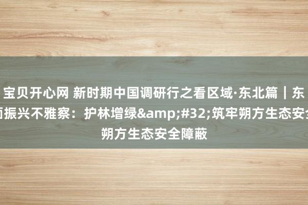 宝贝开心网 新时期中国调研行之看区域·东北篇｜东北全面振兴不雅察：护林增绿&#32;筑牢朔方生态安全障蔽