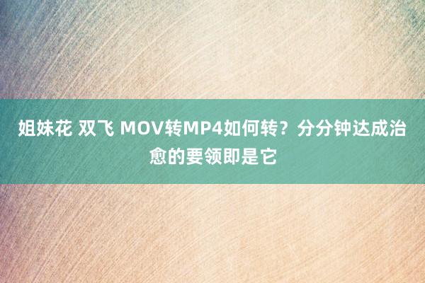 姐妹花 双飞 MOV转MP4如何转？分分钟达成治愈的要领即是它