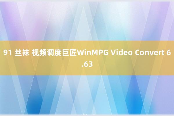 91 丝袜 视频调度巨匠WinMPG Video Convert 6.63