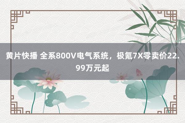 黄片快播 全系800V电气系统，极氪7X零卖价22.99万元起