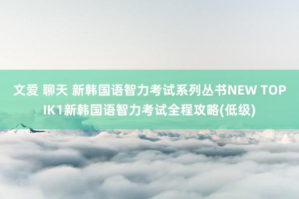 文爱 聊天 新韩国语智力考试系列丛书NEW TOPIK1新韩国语智力考试全程攻略(低级)