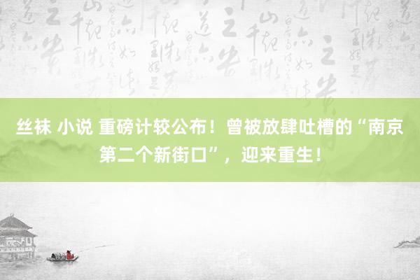 丝袜 小说 重磅计较公布！曾被放肆吐槽的“南京第二个新街口”，迎来重生！